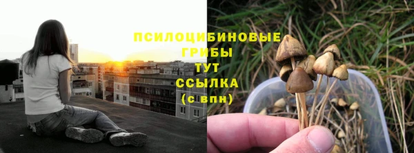 твердый Верея