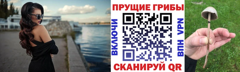 Галлюциногенные грибы Magic Shrooms  Вичуга 