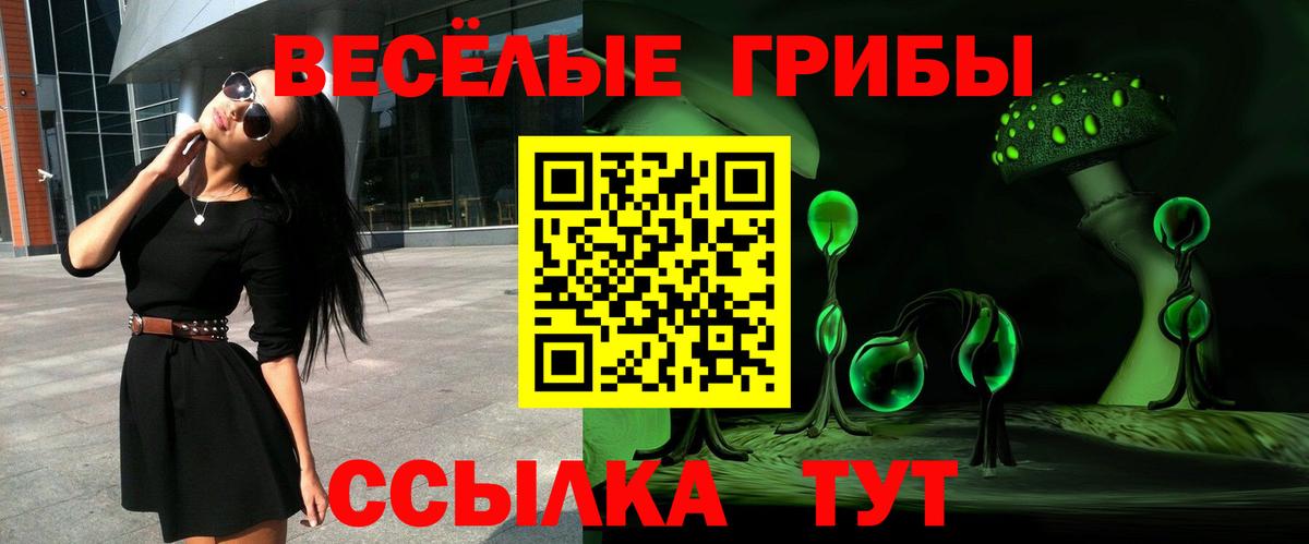 Галлюциногенные грибы Psilocybe Вичуга